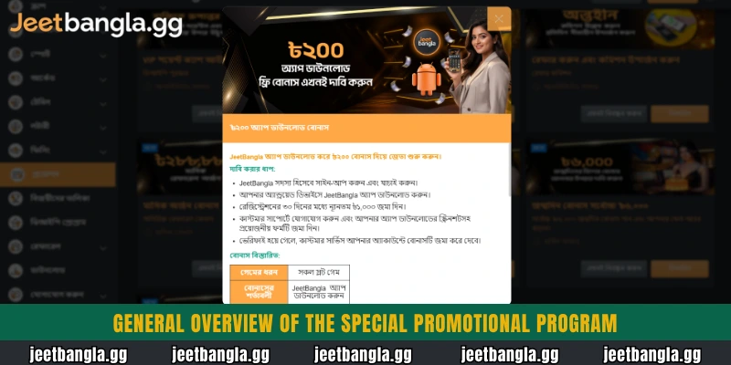 General overview of the special promotional program
