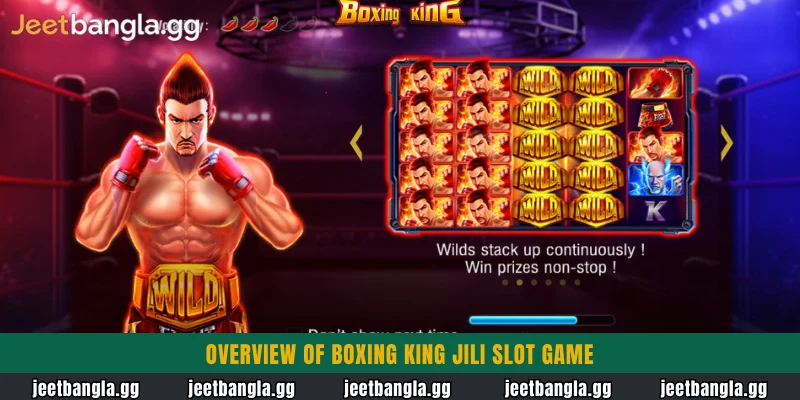 Overview of Boxing King Jili slot game