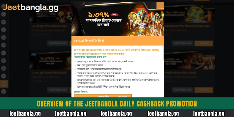 Overview of the Jeetbangla Daily Cashback promotion