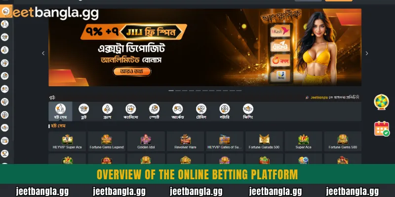 Overview of the online betting platform